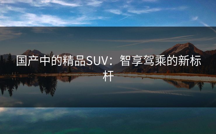 国产中的精品SUV：智享驾乘的新标杆