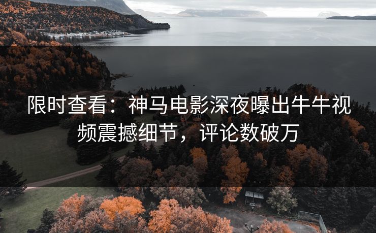 限时查看：神马电影深夜曝出牛牛视频震撼细节，评论数破万