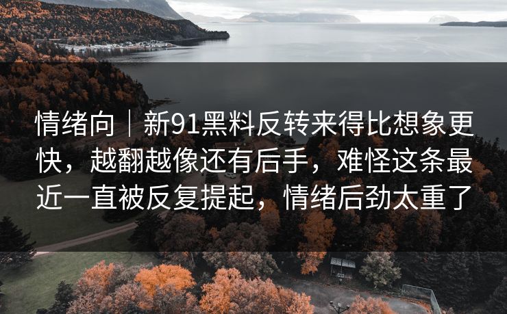 情绪向｜新91黑料反转来得比想象更快，越翻越像还有后手，难怪这条最近一直被反复提起，情绪后劲太重了